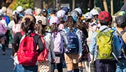 学校団体向けについて見る