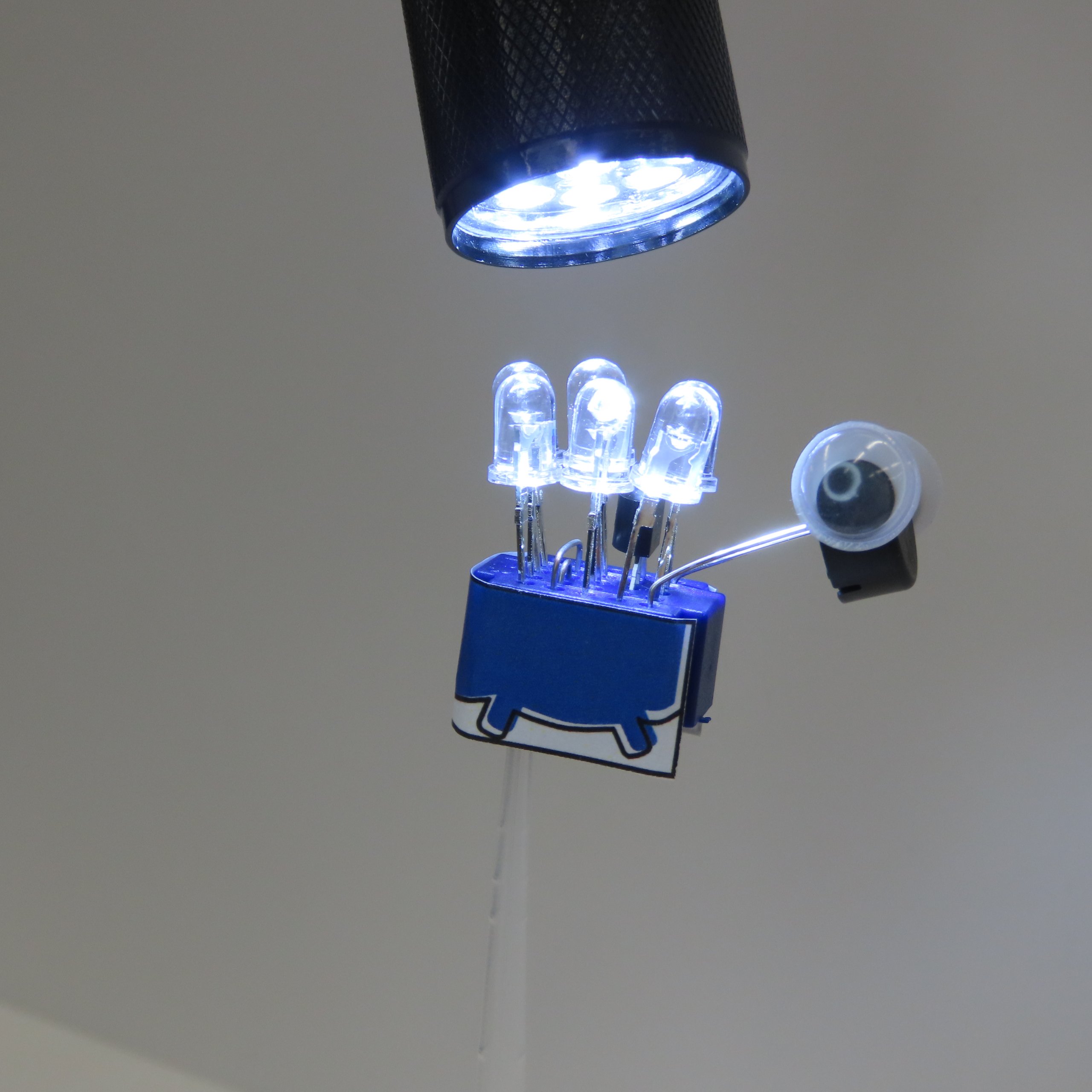 公開講座「LEDで遊ぼう！」発光・発電・光通信・電子工作　LEDは万能部品